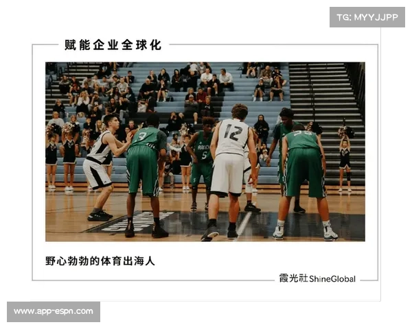 国际七大区域职业联赛引领全球赛事新征程打造体育产业全球化新格局